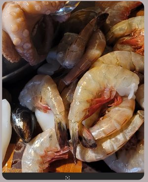 Shrimp